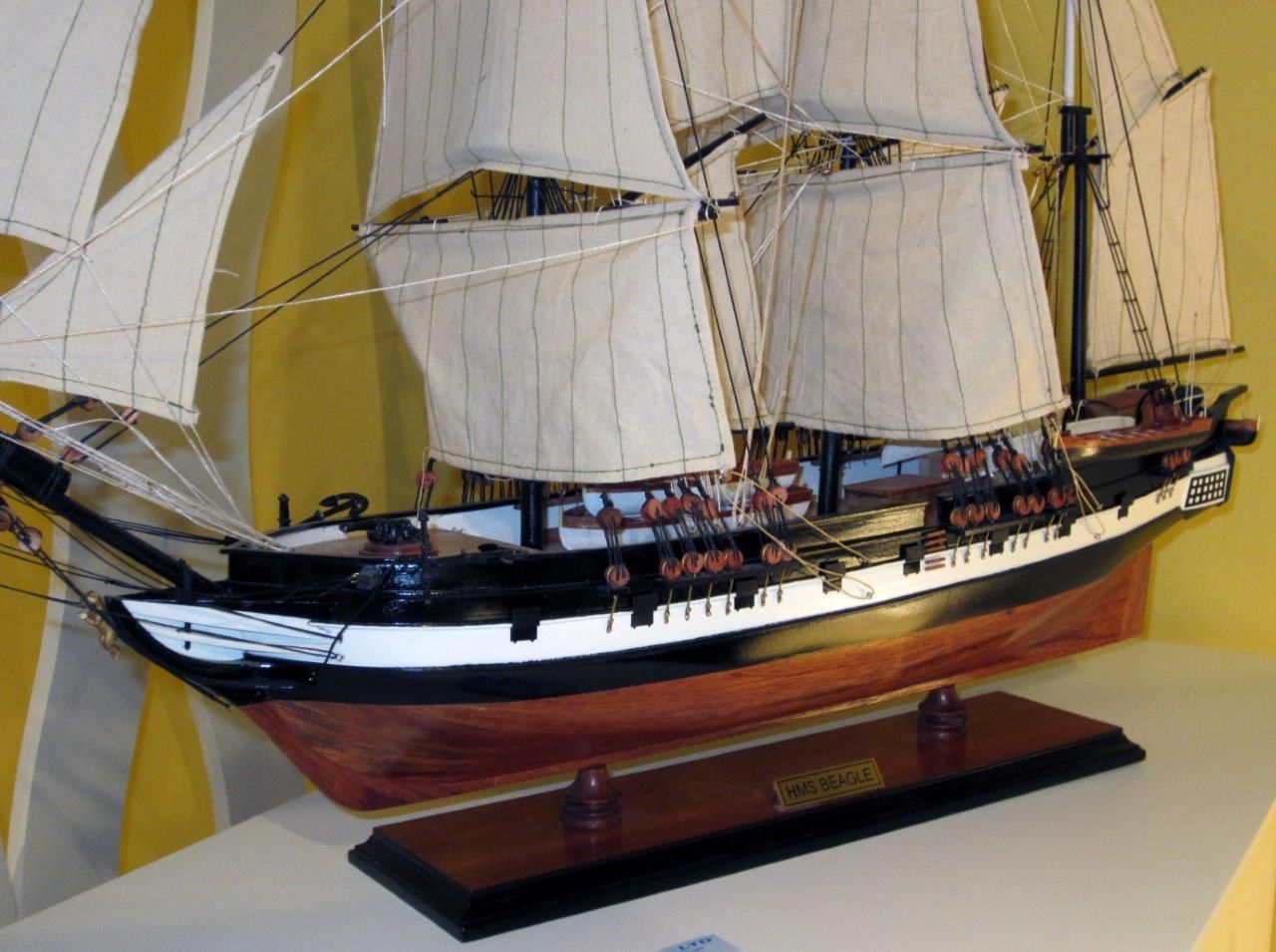 1824-10708-HMS-Beagle-Model-Ship-Standard-Range