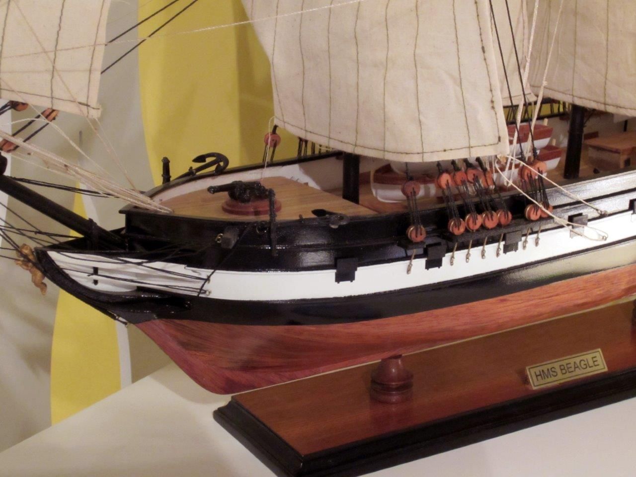 1824-10709-HMS-Beagle-Model-Ship-Standard-Range
