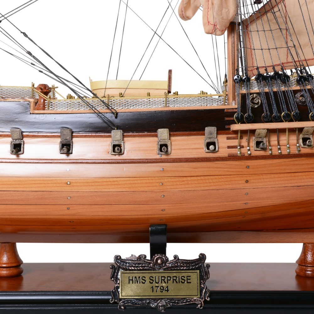 T357-HMS-Surprise-Medium-L01