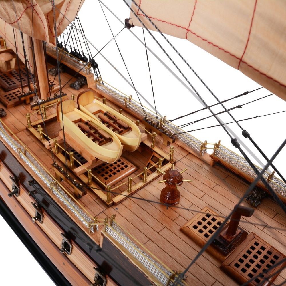 T357-HMS-Surprise-Medium-L02