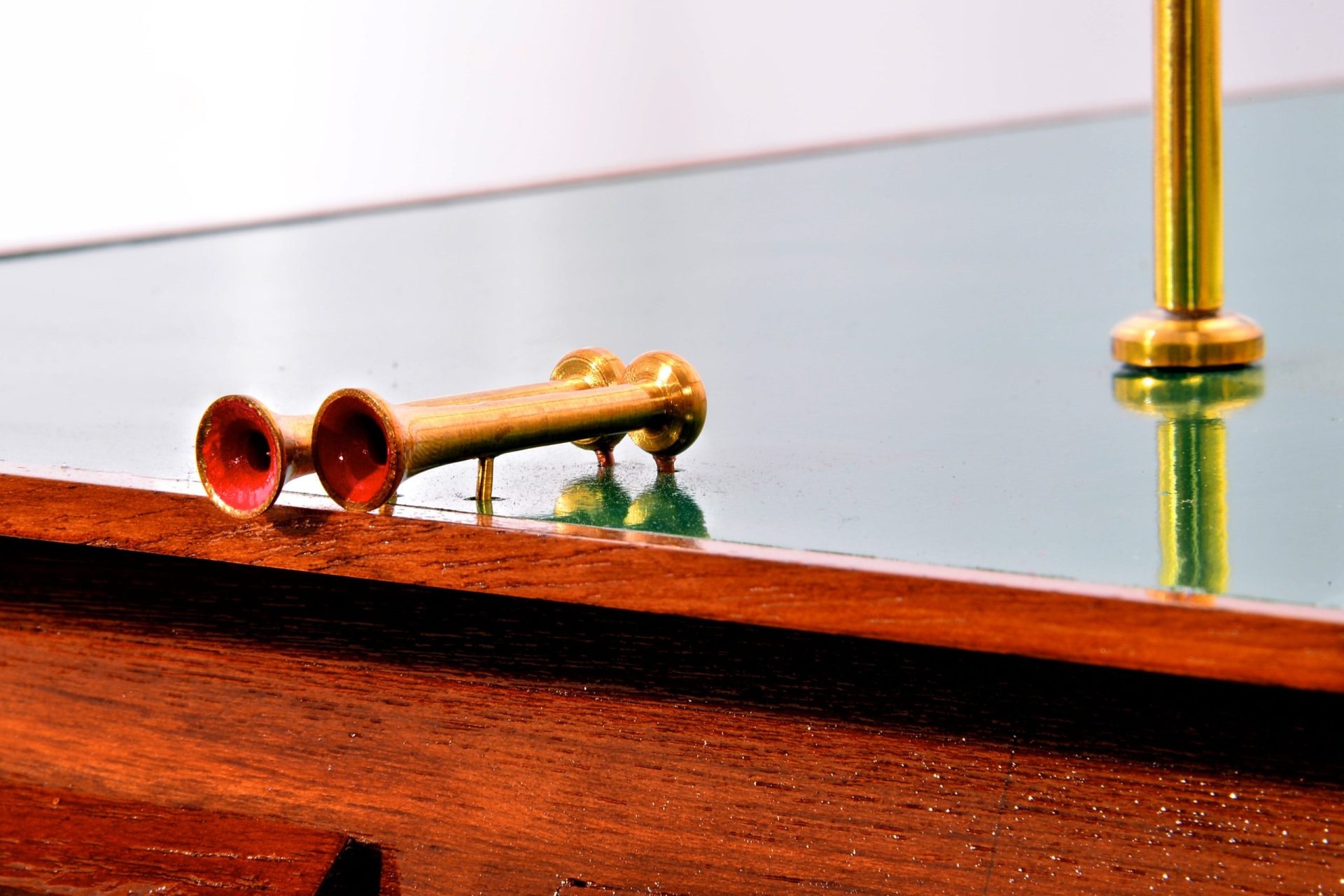 dsc_0916-scaled