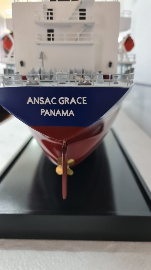 Ansac Grace Bulk Carrier Model - PSM0030